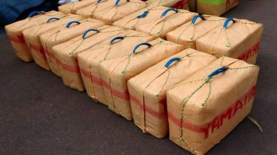 ضربة استباقية قوية قرب إميلشيل تجهض مخطط تهريب أطنان من “الشيرا” إلى الخارج