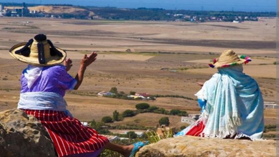 المبادرة الوطنية للتنمية البشرية… رافعة استراتيجية لتمكين المرأة المغربية وتعزيز حضورها في التنمية