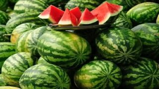 الدلاح يحول مأتما إلى كارثة صحية.. تسمم غذائي جماعي يصيب عشرات الأشخاص بتنزولين ضواحي زاكورة
